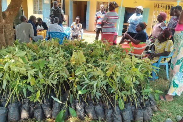 WhatsApp Image 2025-07-25 at 15.02.43_333e763b