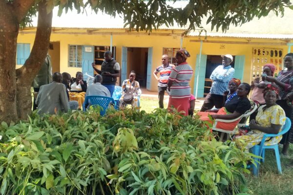 WhatsApp Image 2025-07-25 at 15.02.43_e60305e3